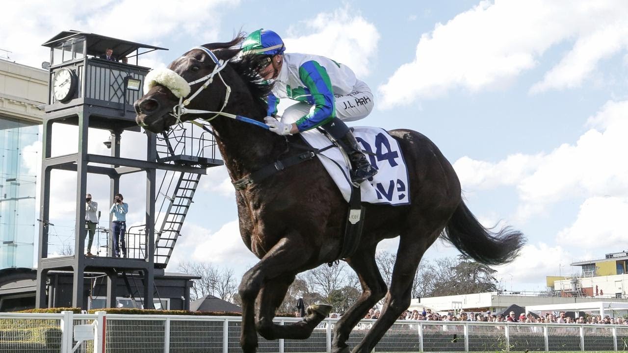 2023 TJ Smith Stakes