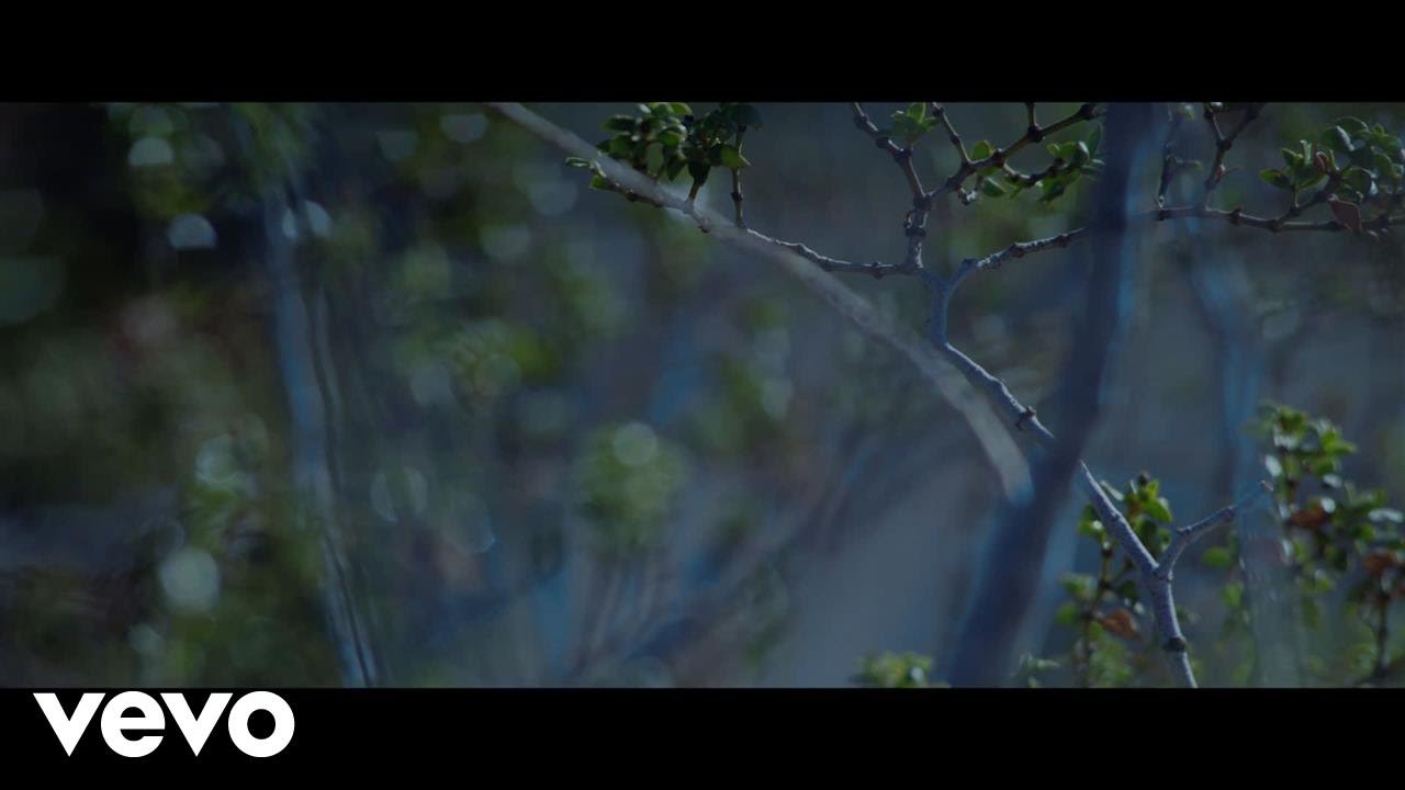 Kristine Elezaj - Euphoria