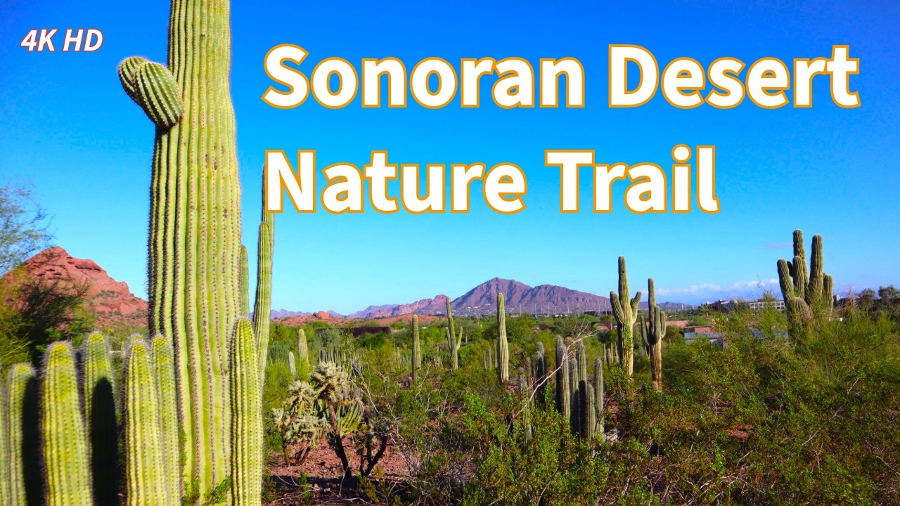 Sonoran Desert Nature Trail