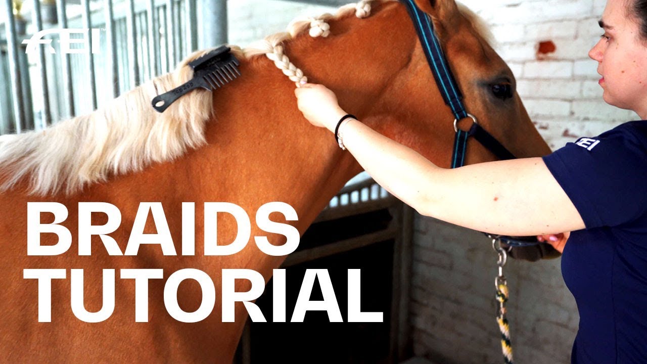 How to braid your horse's mane? Tutorial with Olivia Towers | Guest Vlog