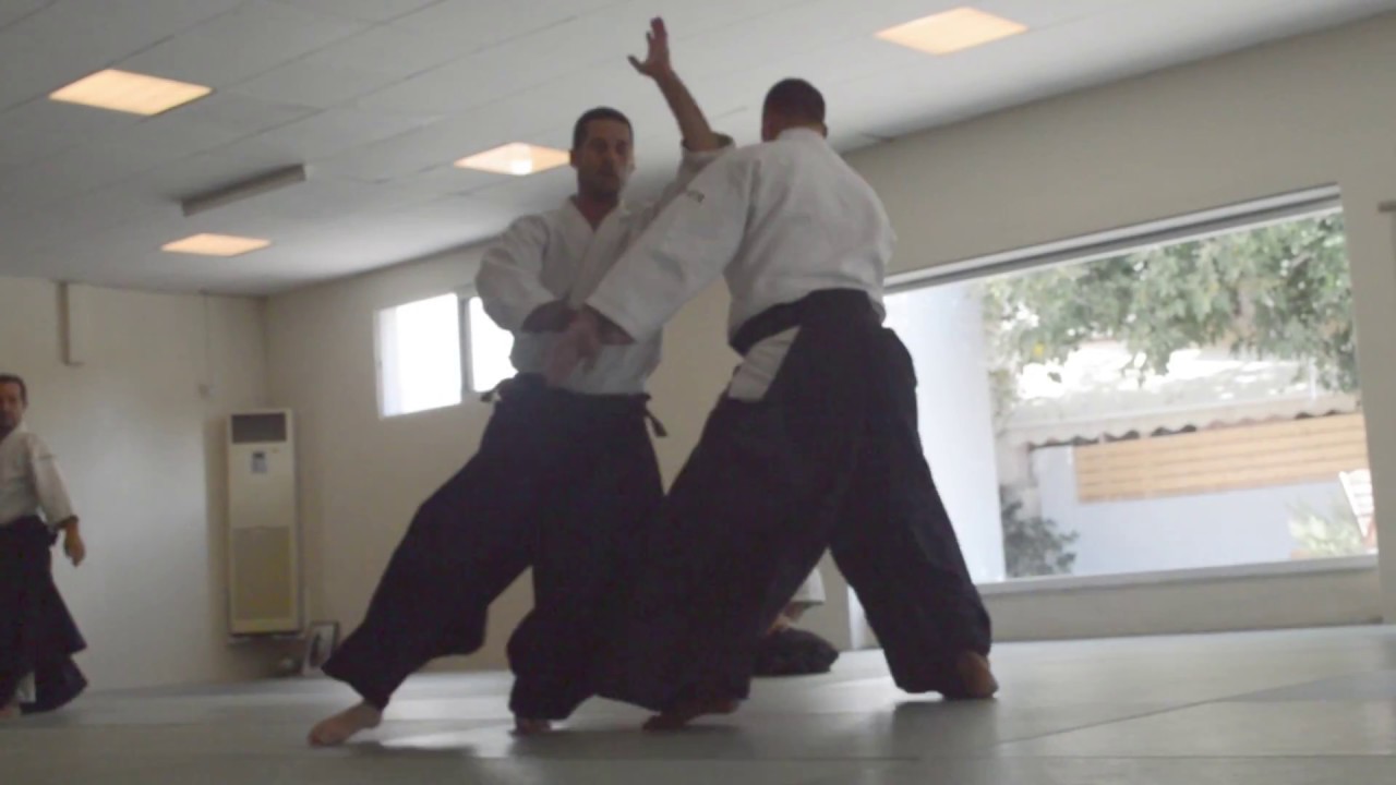 Vasilis Nykteris 5th Dan. Aikido training . Stay with the flow, part 2