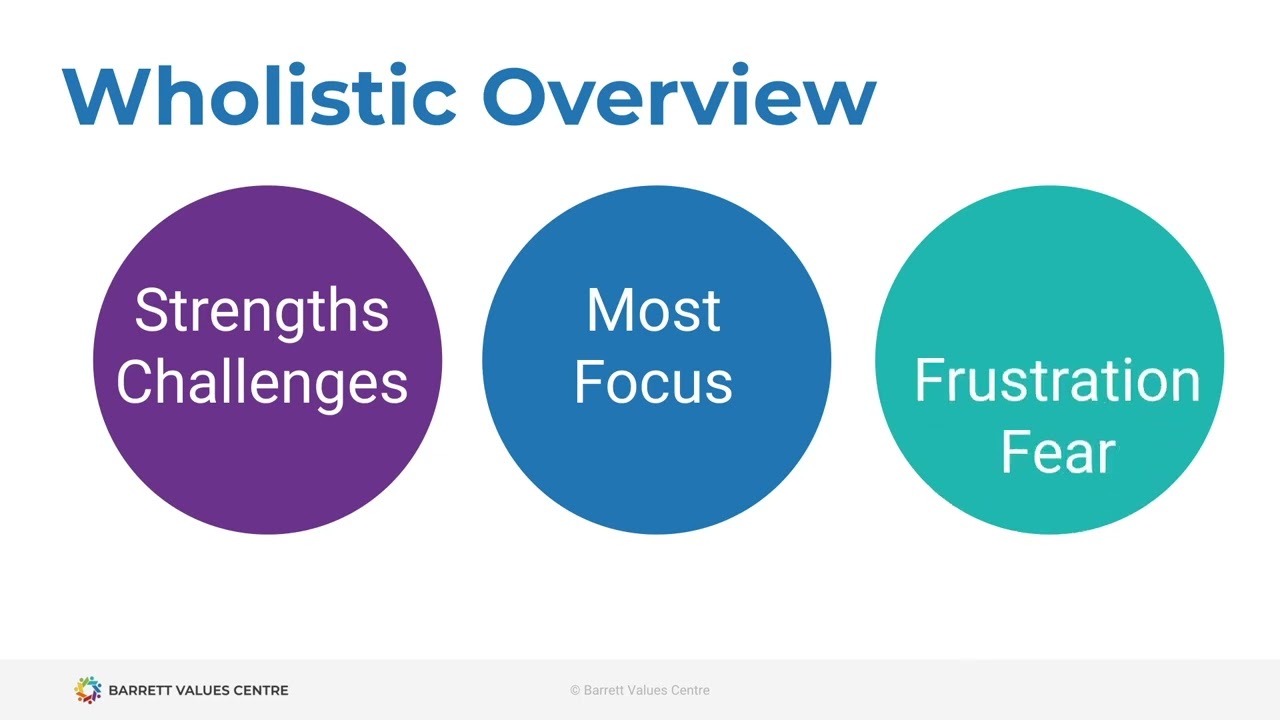 Culture Assessment Overview