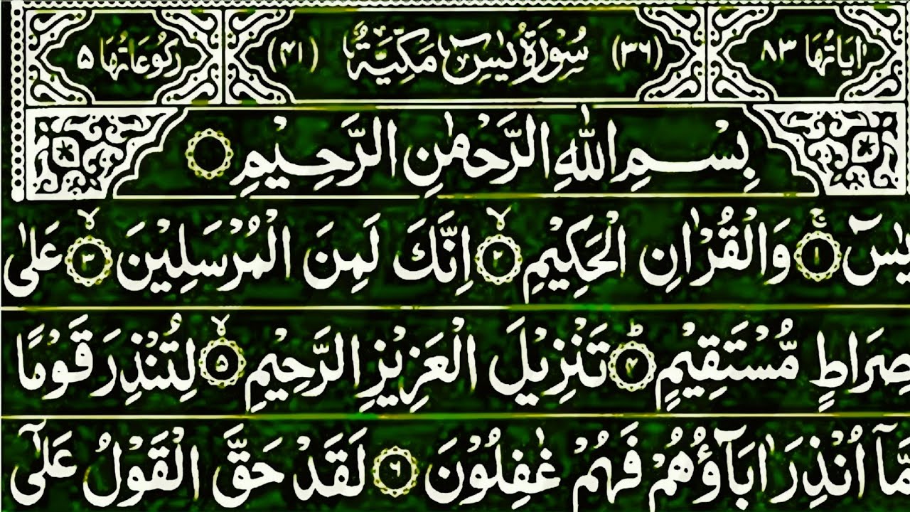 "Surah Yaseen, Surah Rahman, Surah Mulk | A Soul-Calming Qur’an Voice | Ep 27"
