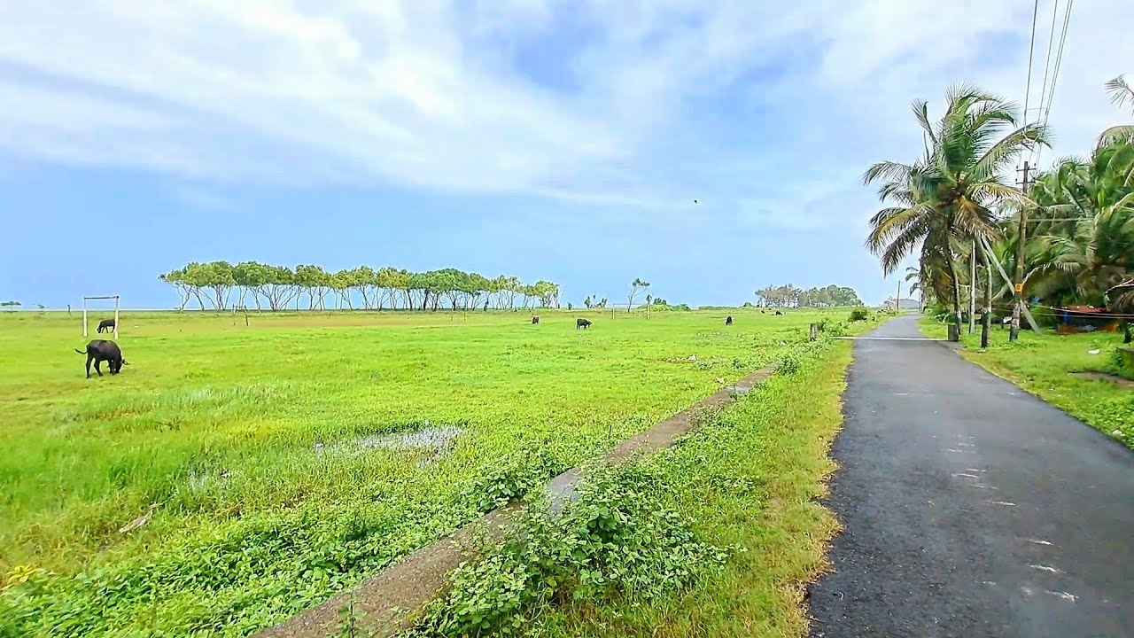 Walking Along a Beautiful Rural Coastal Road in India | Village Walking Tour | Indian Village Life