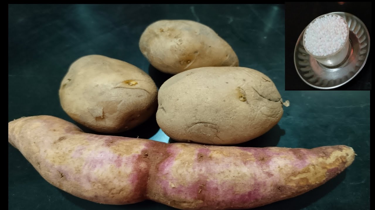 ELA OKKASARI CHESUKUNTE 🤔 HOMEMADE RECIPE😱#recipevideo#korde#sabudana#aloo #korde#tasty#viralvideo 👍