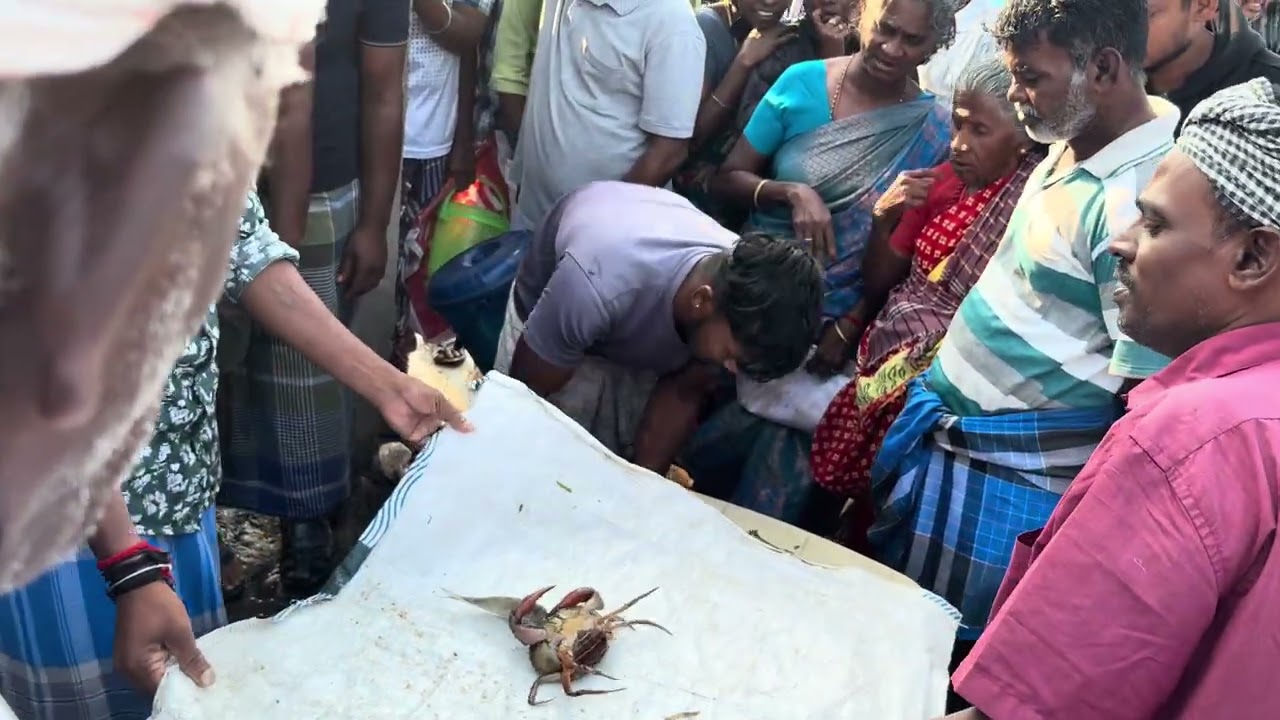 Kattaa meen yelam muthukkuda