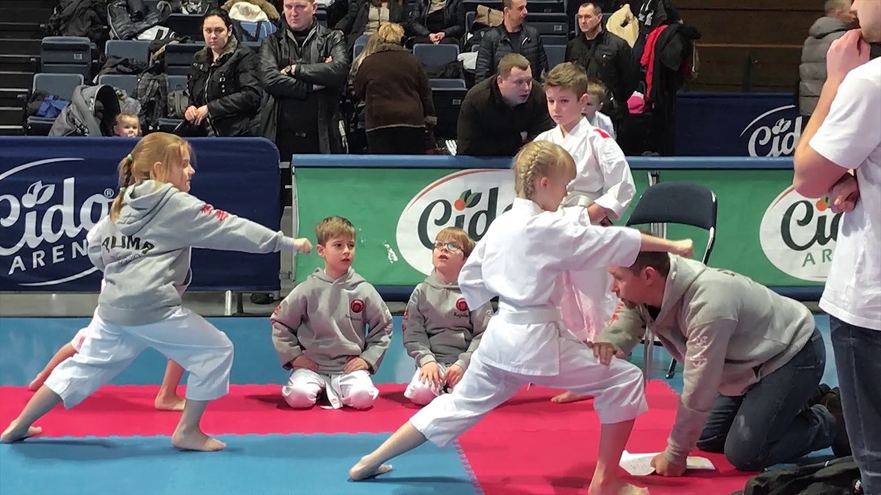 Vilniaus Shotokan karate klubas 