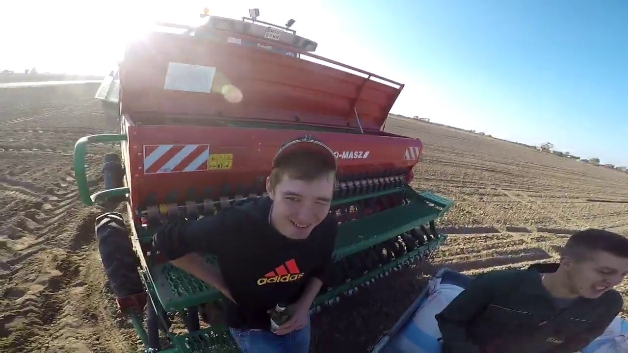 ☆Kasztanowy VLOG #6☆Zbieranie kamieni☆Wraz z Mikim i Pawłem!!☆Massey Ferguson☆AgroMasz
