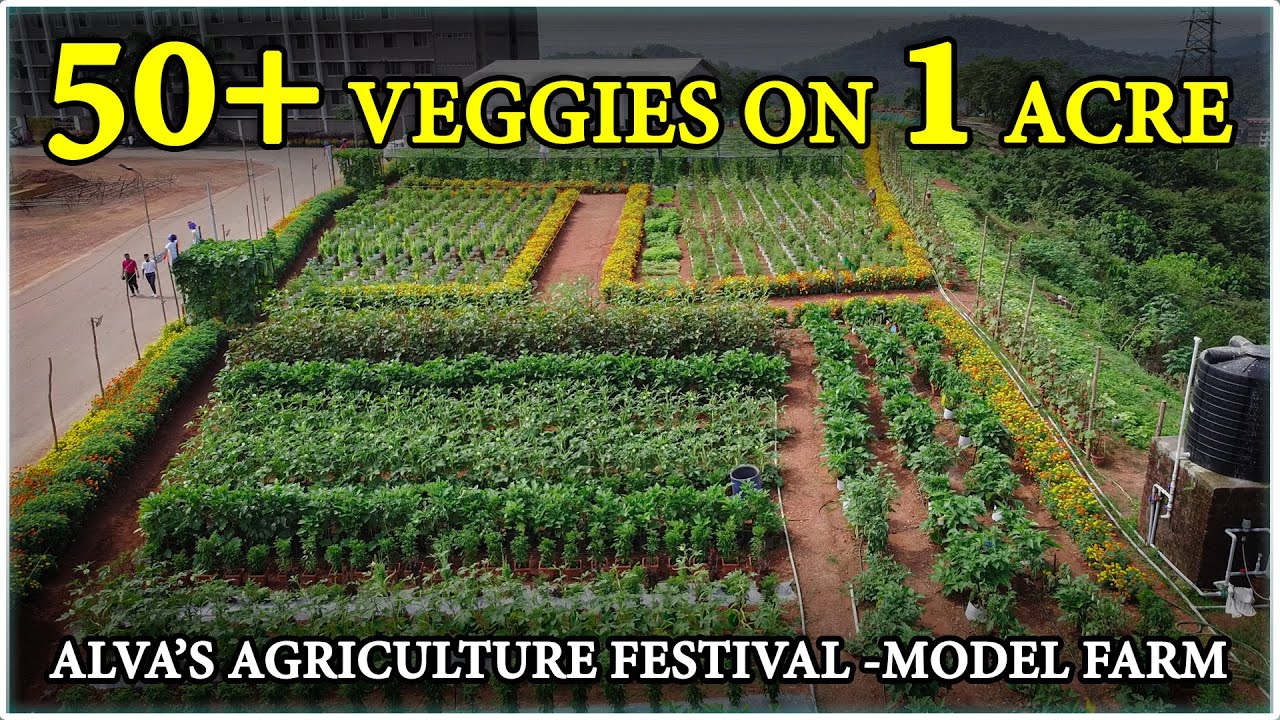 Incredible 1-Acre Vegetable Farm Using Modern Agriculture Techniques! Alva’s Virasat, Moodbidri