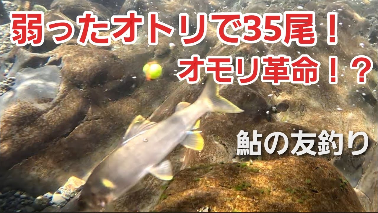 NO32 友釣り人生30年で今さら気づいた！これがオモリの力か…　友釣りオレ流