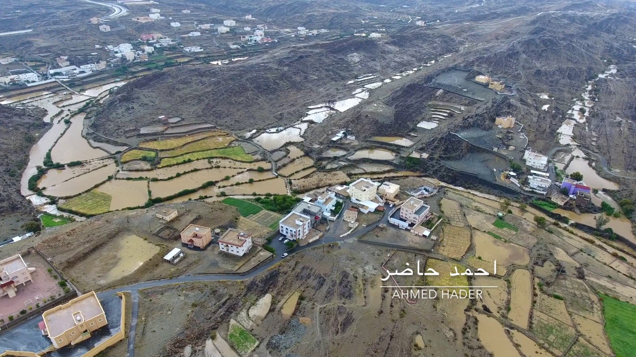 سيول عبل  بللحمر