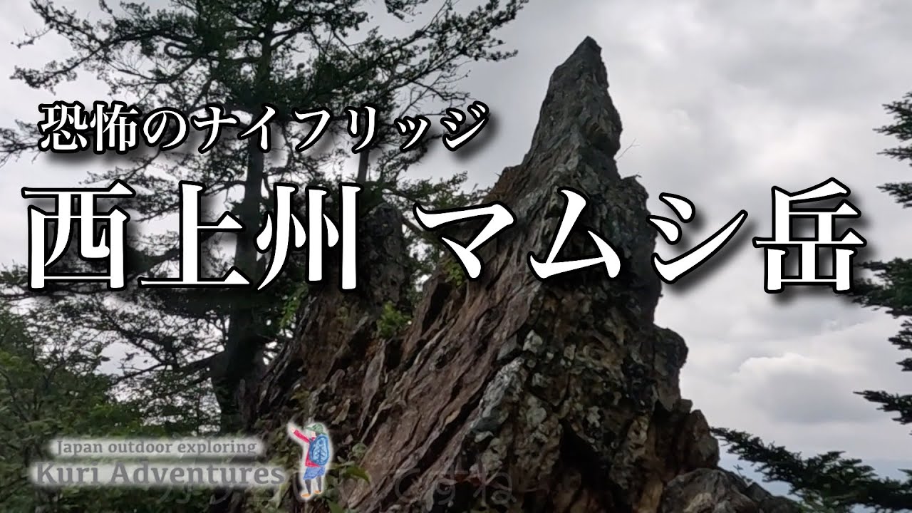 【 薮岩登山 】西上州 マムシ岳
