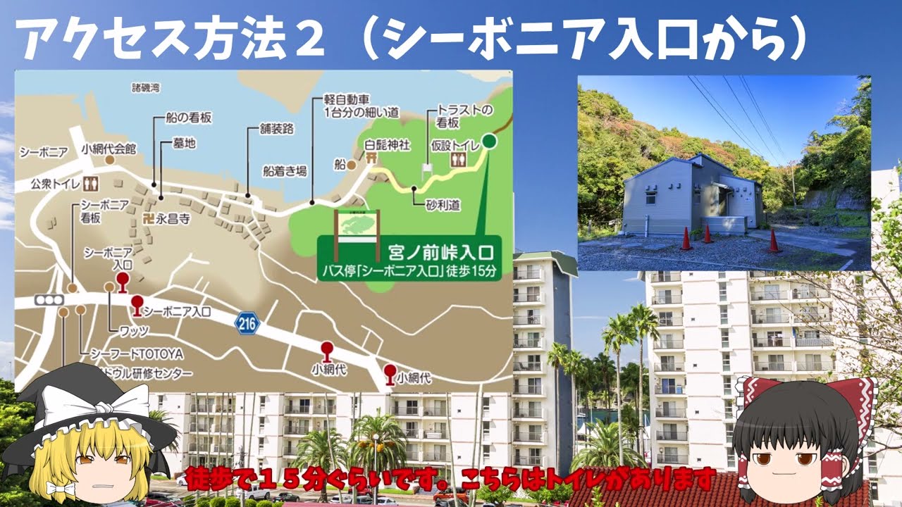 小網代の森ゆっくり解説（秋編）