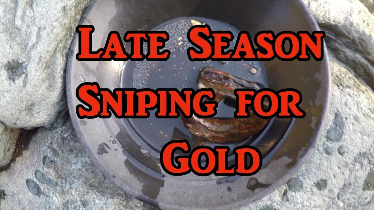 Late season sniping - cold water, large gold.