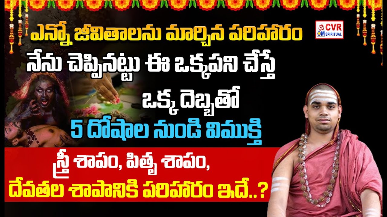 పూర్వజన్మ అసలు ఉందా.. ఉంటె ఎలా తెలుసుకోవాలి..? | Sri Sri Vidhushekhara Bharati Mahaswamiji | CVR OM
