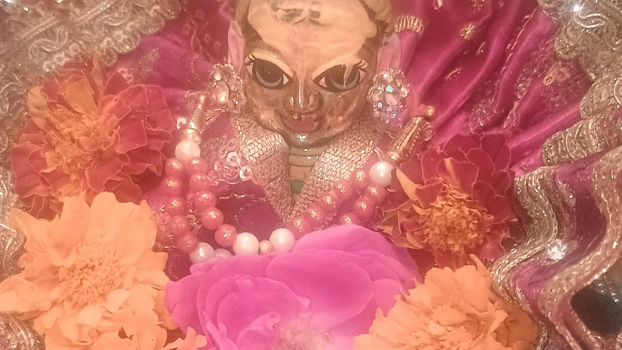 RADHAKRISHNAN WORLD 🌎 is live राधा कृष्णा संघ ब्रज की होली होली की हार्दिक शुभकामनाएं 🙏🌷