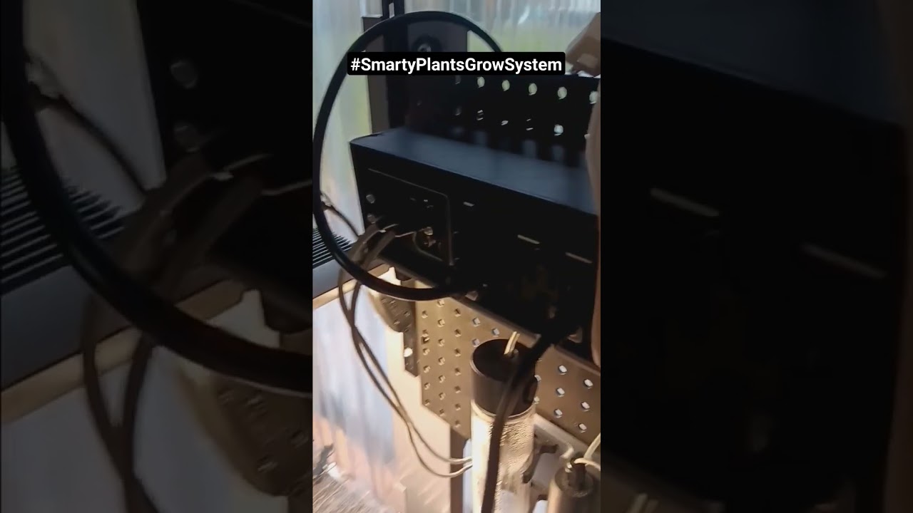 #SmartyPlantsGrowSystem #IndoorGrow #IndoorGarden #GrowSystem #plants #usa