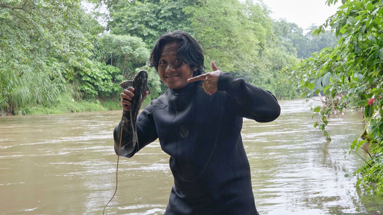 mencari telur sapu sapu