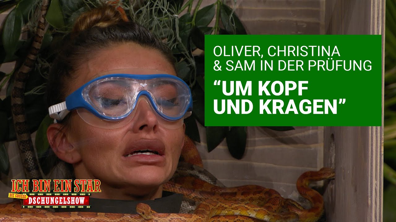 Pr&uuml;fung Tag 7 - Sie spielen sich um 