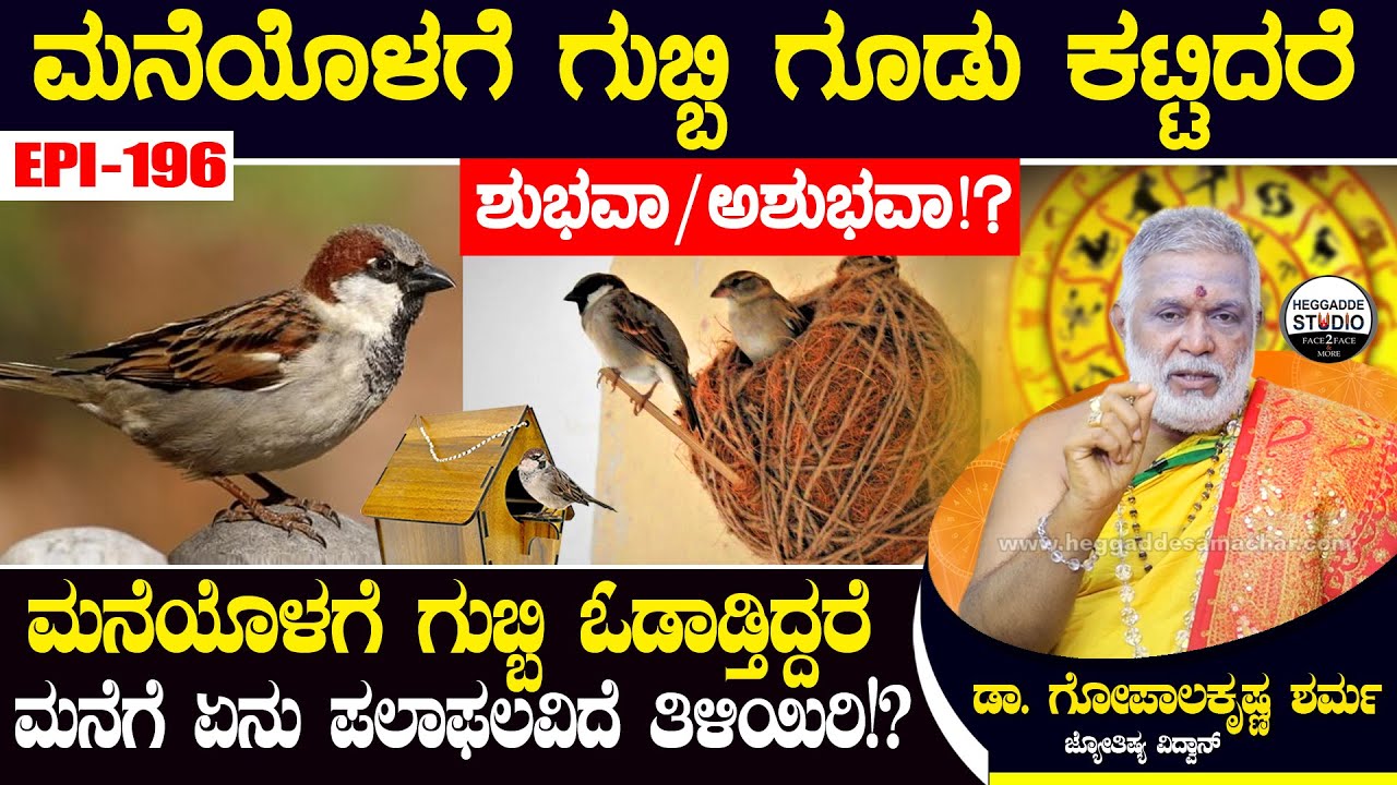 ಮನೆಯೊಳಗೆ ಗುಬ್ಬಿ ಗೂಡು ಕಟ್ಟಿದರೆ ಶುಭವಾ/ಅಶುಭವಾ!? | GopalaKrishna Sharma Astrology Epi 196 | Heggadde S