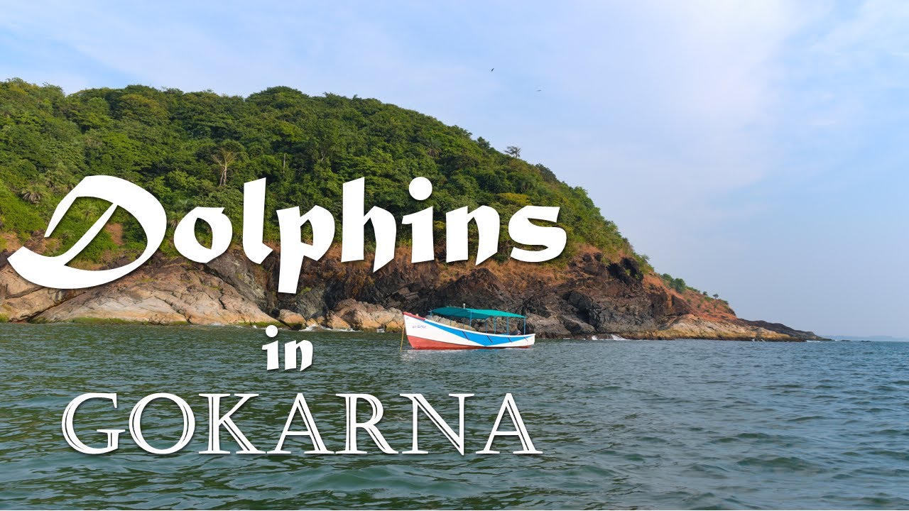 Spotting Dolphins in Gokarna | Om Beach boat ride