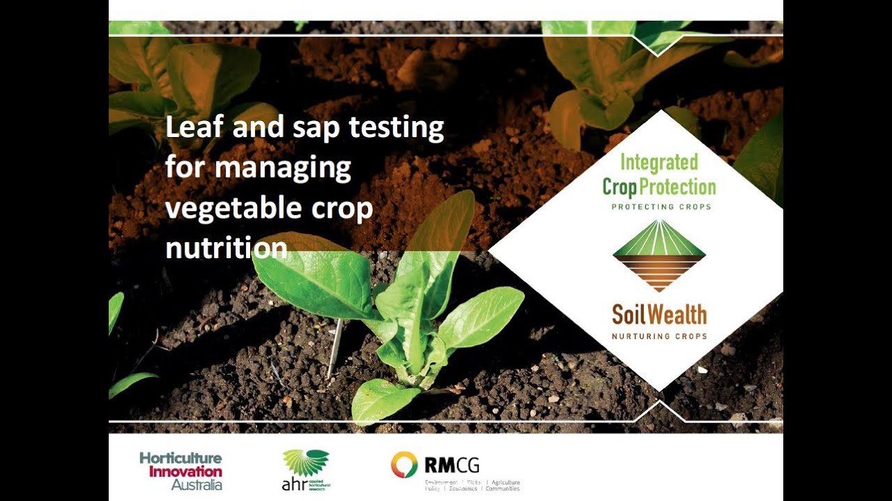 Leaf and sap testing for managing vegetable crop nutrition
