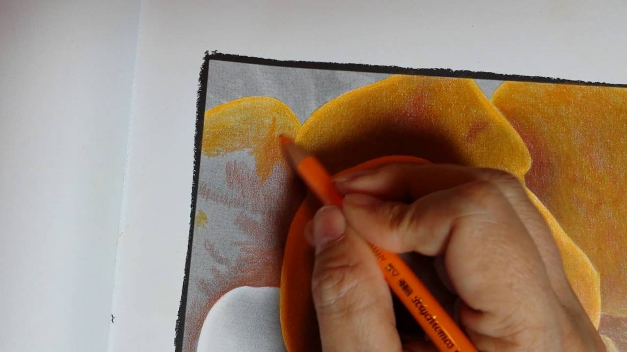 Coloring Book pencil blending on grey scale book. Faber-Castell