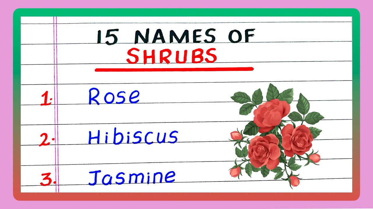 SHRUBS NAME | 15 SHRUB PLANTS NAME
