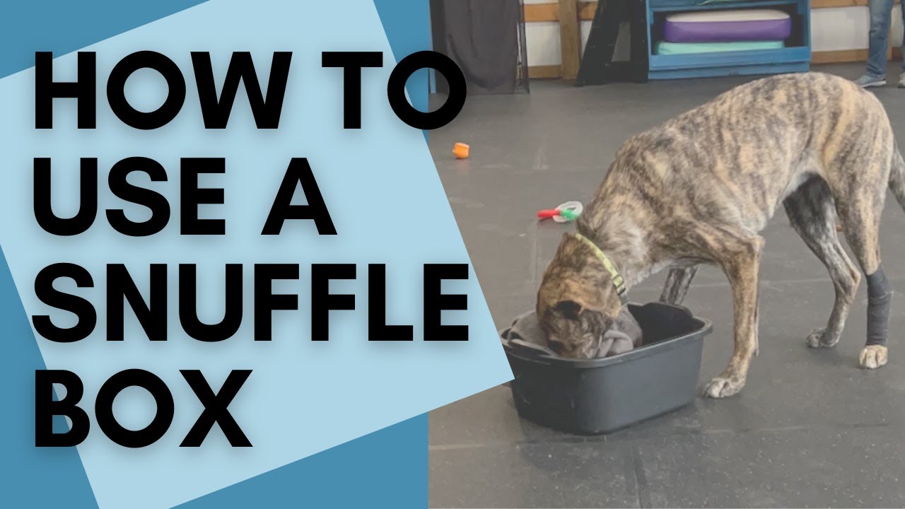 How to Use a Snuffle Box