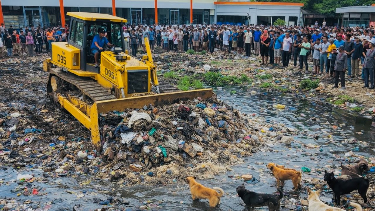 +Great new project!! Complete 100% clearing, pushing soil, garbage in Forest the houses by Bulldozer