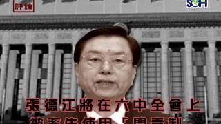 石涛评论