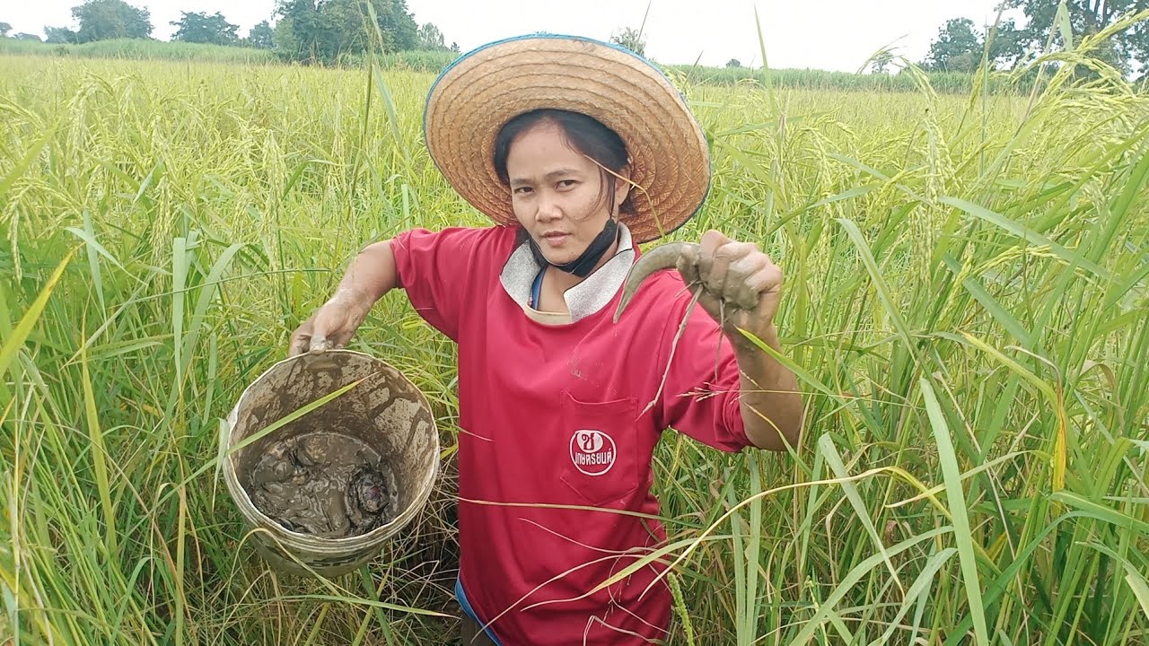 จับปลาข่อน มีทั้งปูปลา หมานๆจ้ามื้อนี้ หาอยู่หากินแบบบ้านๆ| พัชญ์ พาชิว