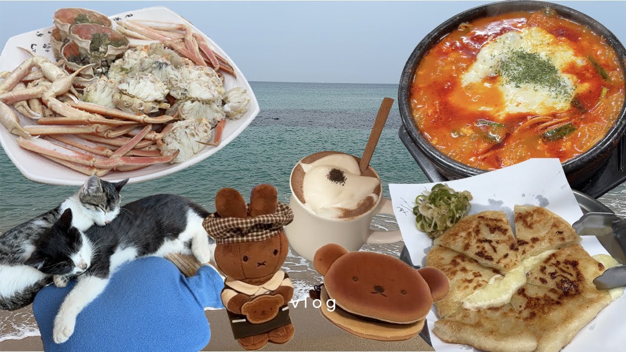 vlog | 강릉 포항 경주여행 브이로그 | MZ 다 모인 치즈쫄면순두부 | 말차카페 | 포항 로컬 물회 | 노티드 두바이 | 미피 경주 | 먹기만 하는 여행...