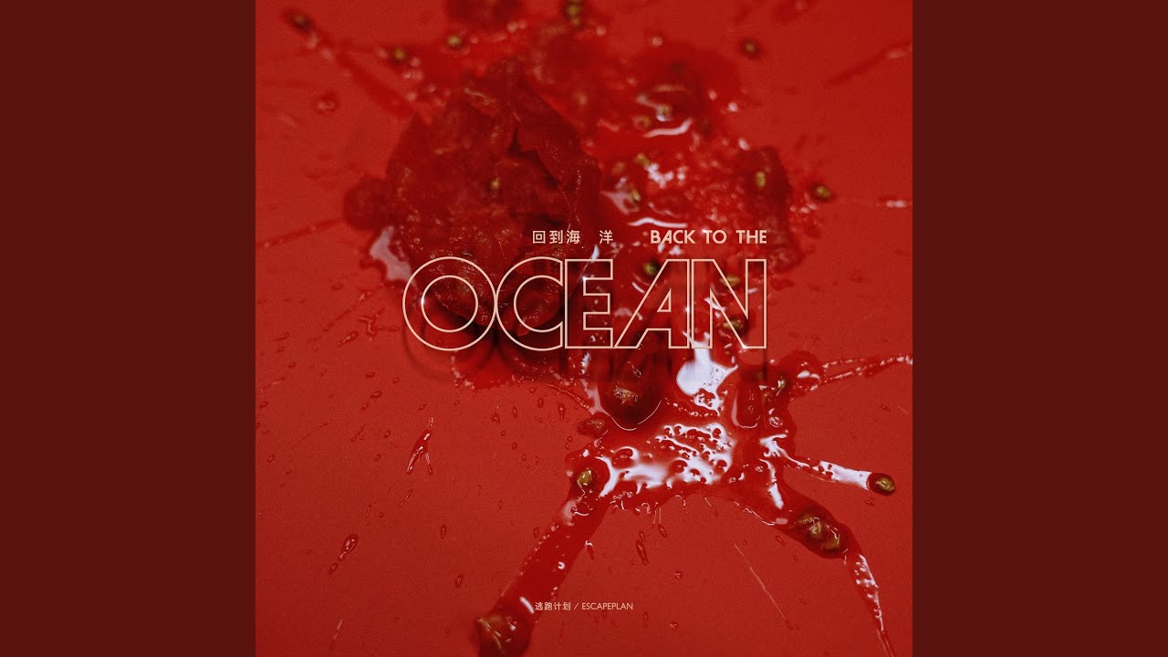海鷗