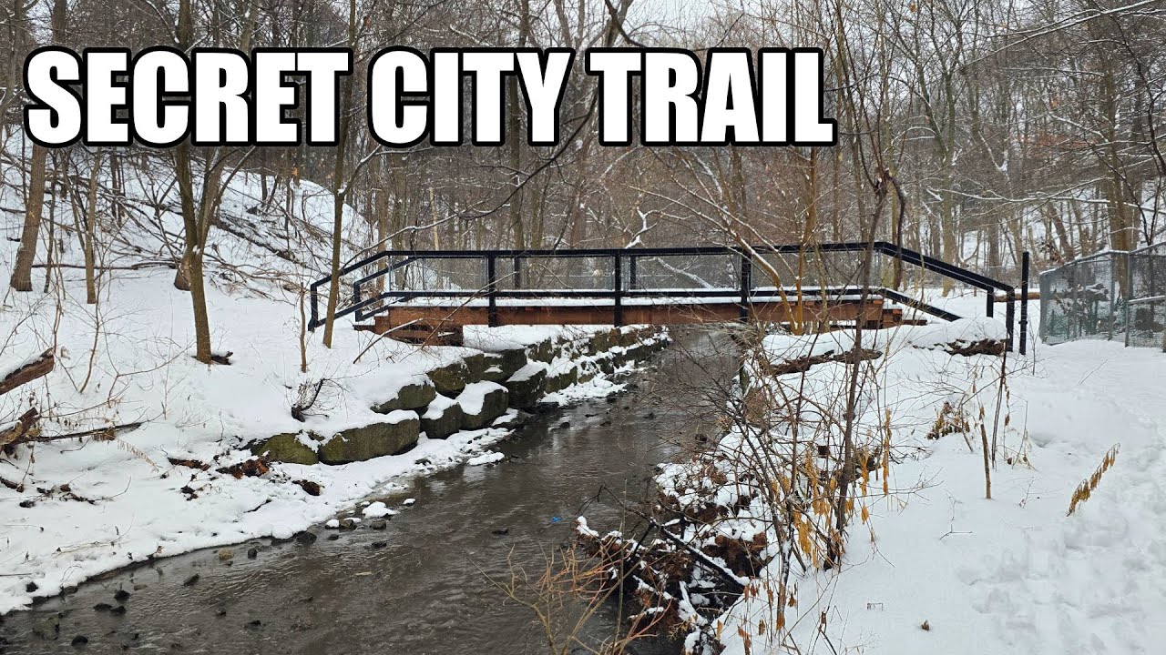Toronto's Lost River (in the Rain) | Chatsworth Ravine Winter Walk