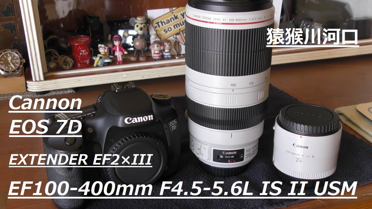 EOS7DとEFレンズ100-400＋エクステンダーで猿猴川河口撮影
