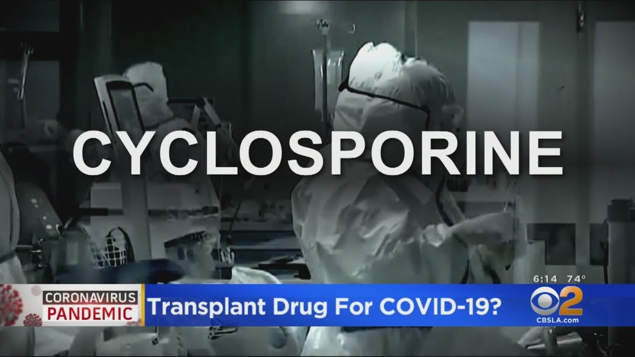 Could Cyclosporine Prevent The Most Severe COVID-19 Complications?