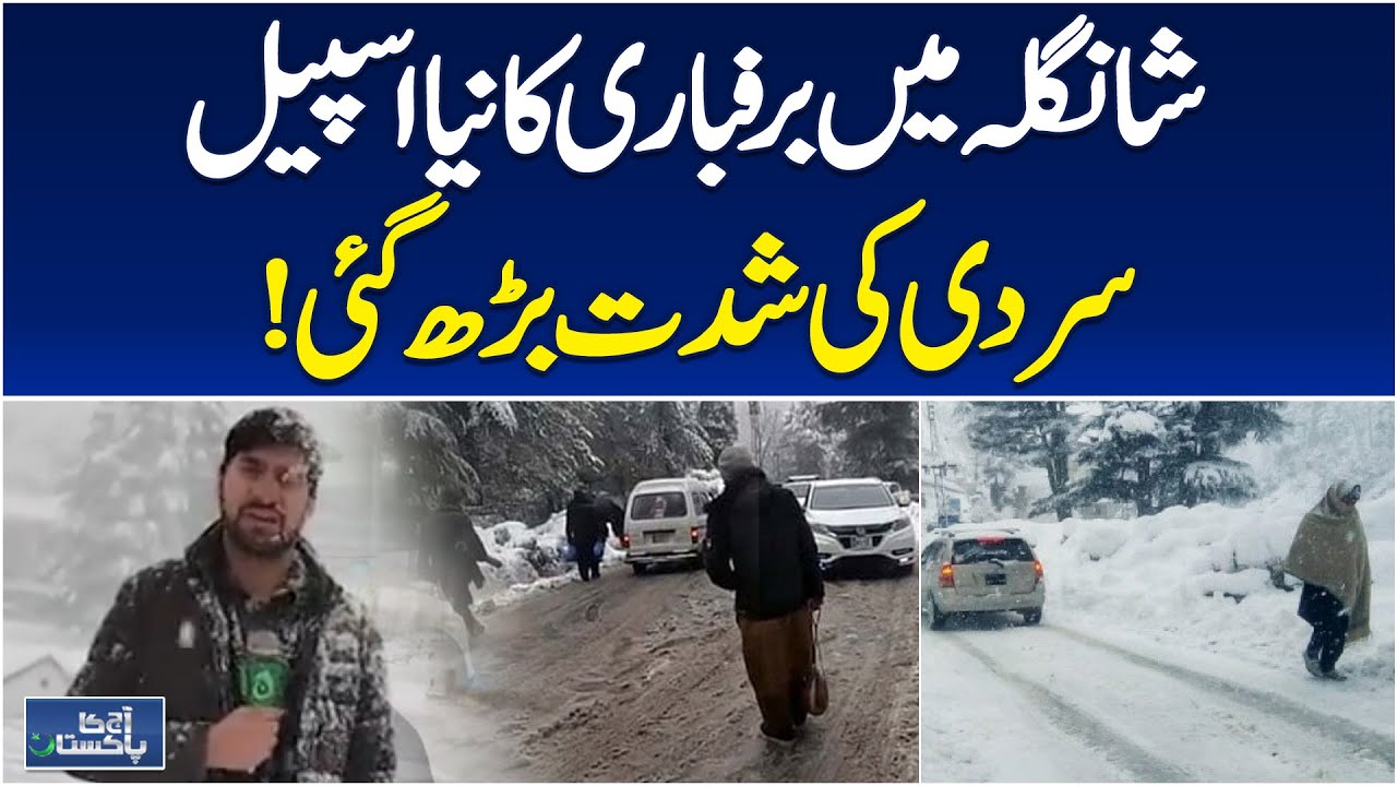 Shangla Snowfall | New Snow Spell | Cold Intensifies - Aaj Pakistan News