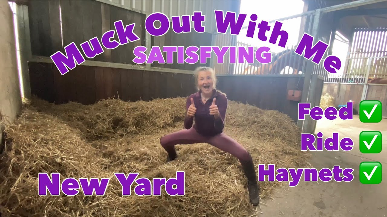 My First Day On A DIY Yard | Muck Out With Me | Jodie and Harry