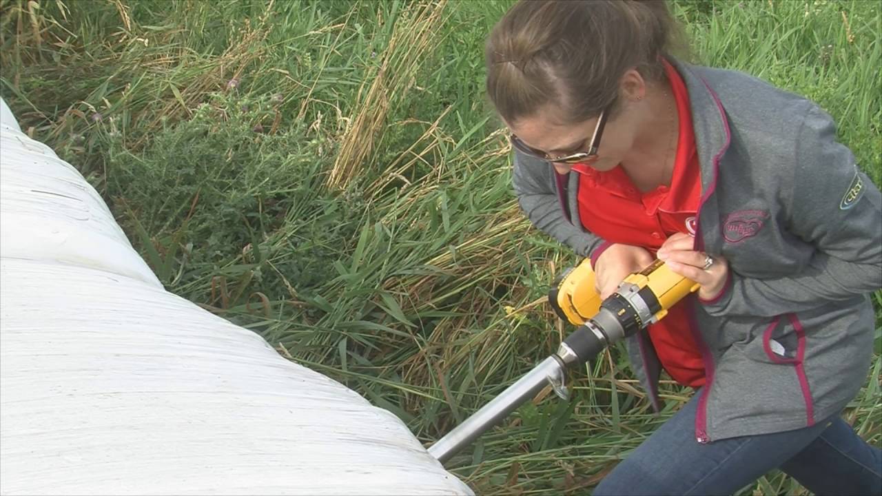 Vita Plus Forage Foundations: Forage sampling series - Baled hay & baleage