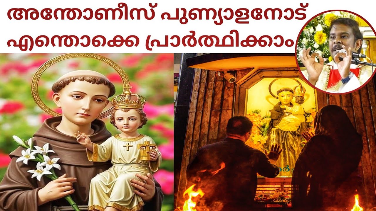 വി.അന്തോണിയോട് എന്തൊക്കെ പ്രാർഥിച്ചു നേടാം / Fr.Anoop Paul Blamparambil #stantony #stantonyschurch 
