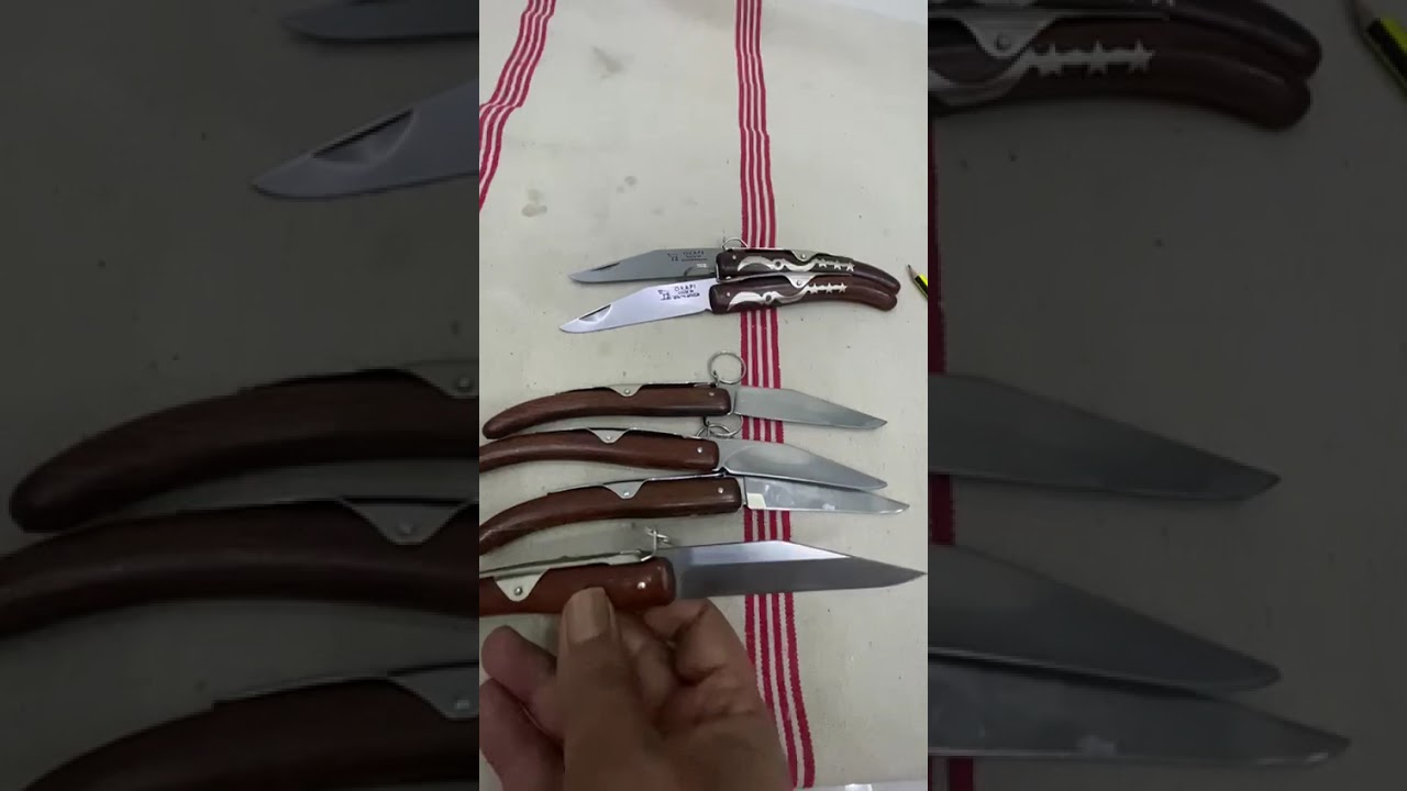 إصدارات الاوكابي الأفريقي والاختلافات الموجودة #اوكابي #Okapi