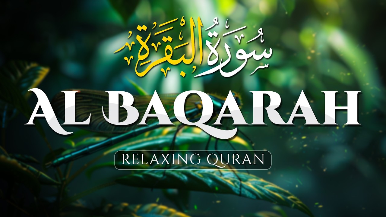 Surah Al Baqarah (سورة البقره) Best Heart Touching Holy Quran Recitation - AHMAD AL SHALABI