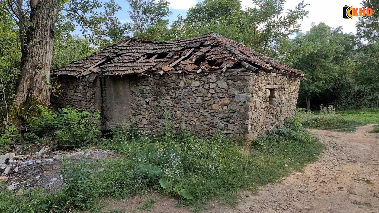 Dokumentari 