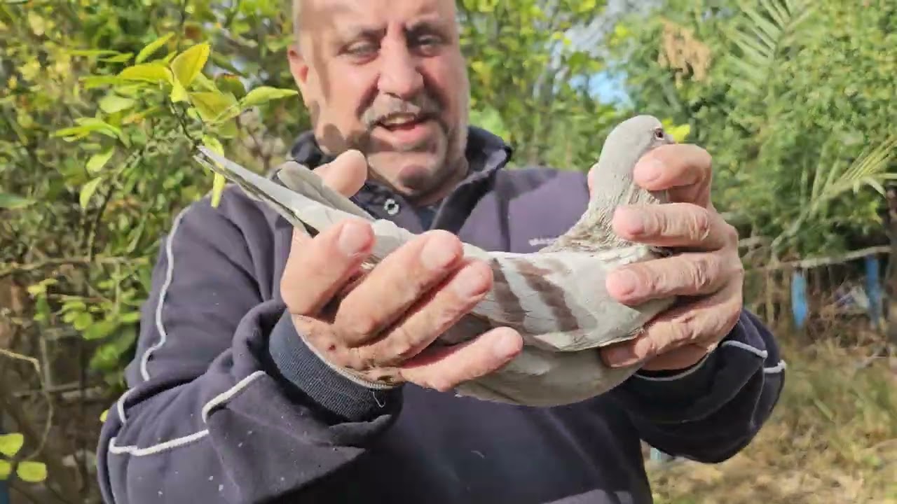 يوميات. المزرعة..٠٧٧١٣٣٥٣١٣٤