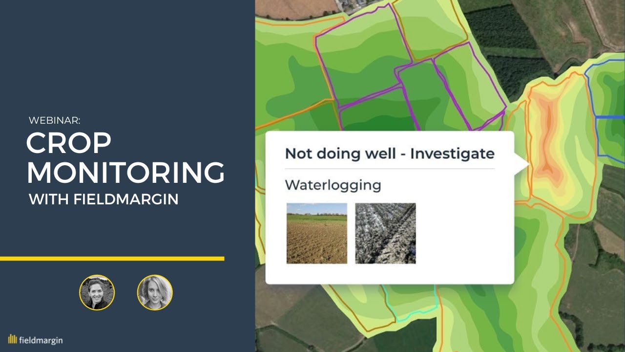 Webinar: Crop monitoring with fieldmargin