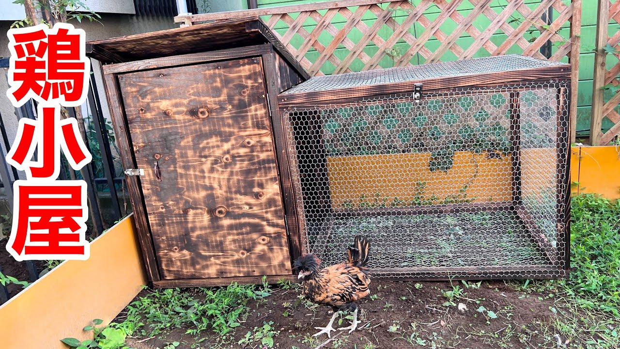 ニワトリを屋外で飼う為の鶏小屋を作りました