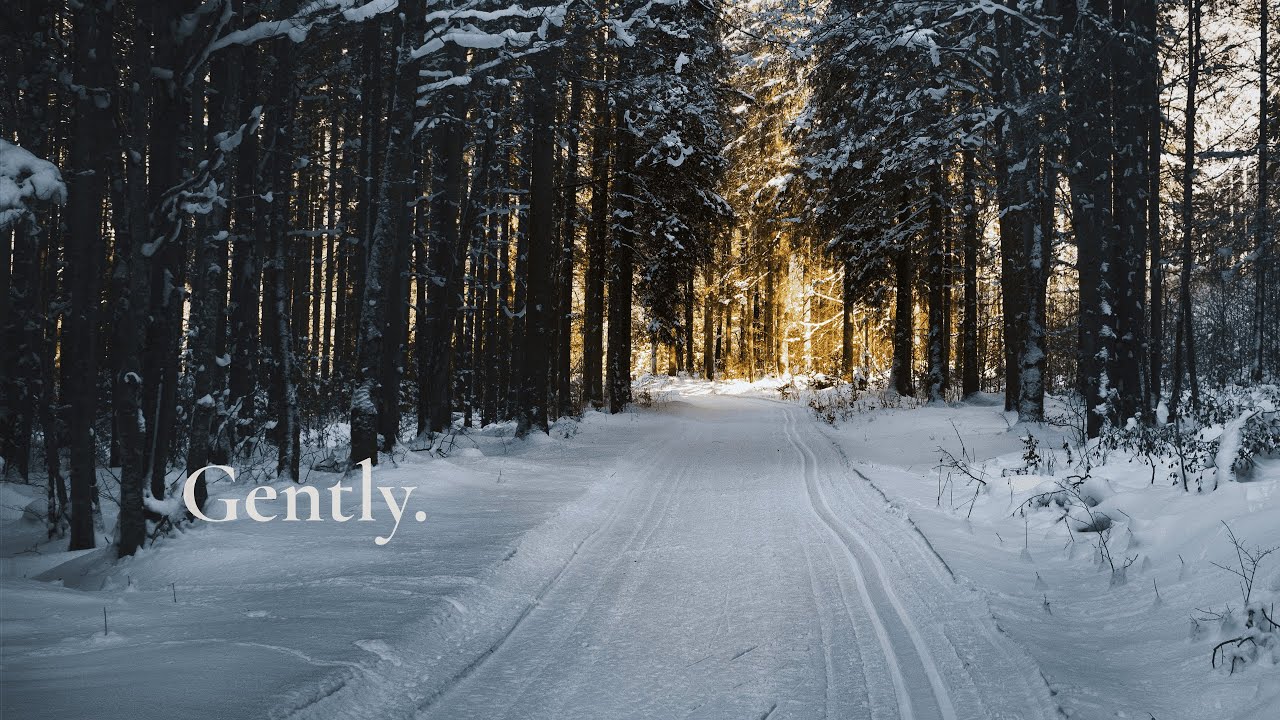 Gently. | Healing After a Broken Heart 