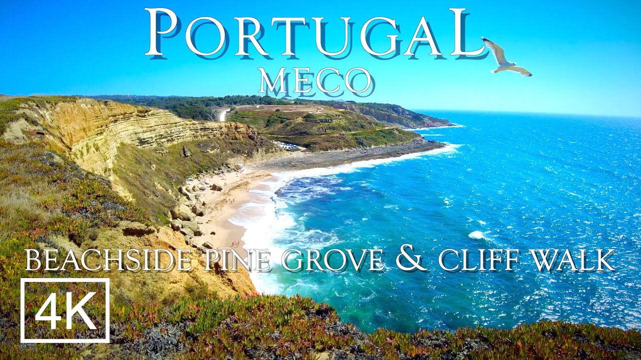 4K Beachside Pine Forest & Cliff Walk - Stunning Ocean Views - MECO Portugal 4K 2021 ASMR 60fps