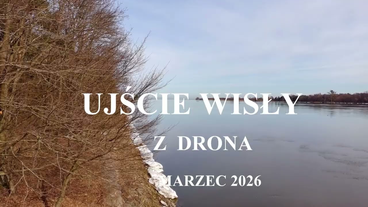 Ujście Wisły koniec zimy 2026